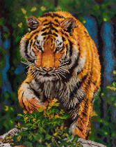 Кристальная ( алмазная) мозаика  " ФРЕЯ" ALPD- 077 на подрамнике " Царь Тайги" 40 х 50 см