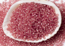 Бисер Япония MIYUKI Seed Beads 15/0 5г 1627 окрашенный светло-клюква полуматовый серебряная линия внутри